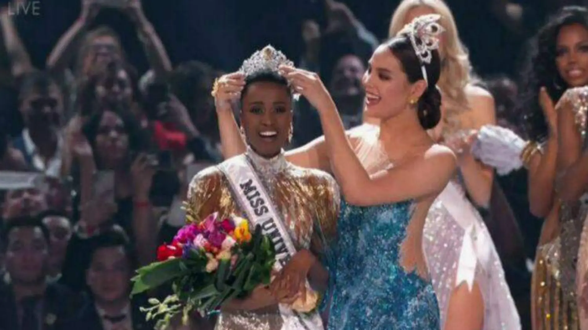 miss universo 2019 TWITTER